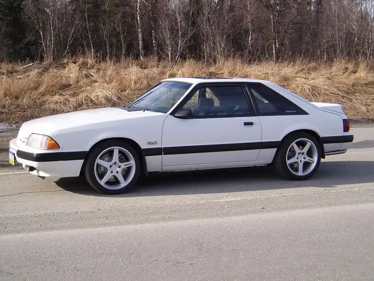 91hatch-2.webp