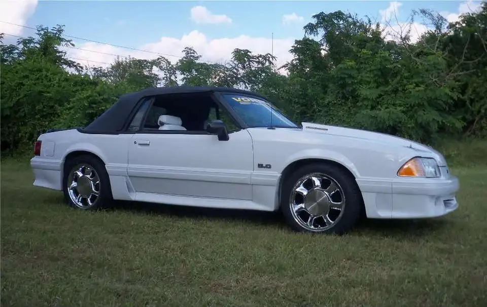 91mustang006.webp