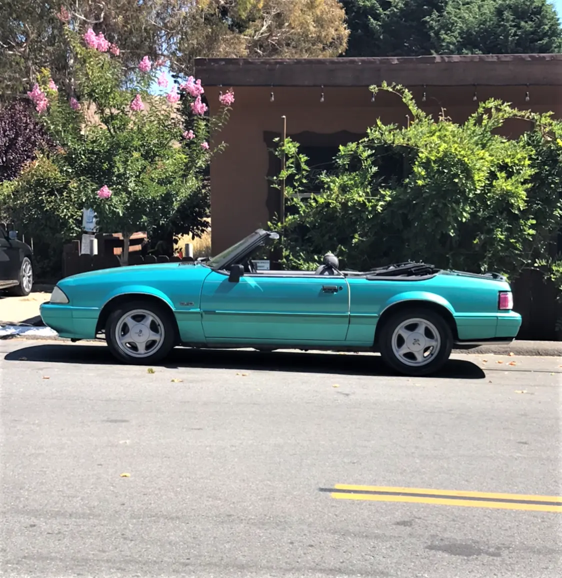93 Mustang.webp