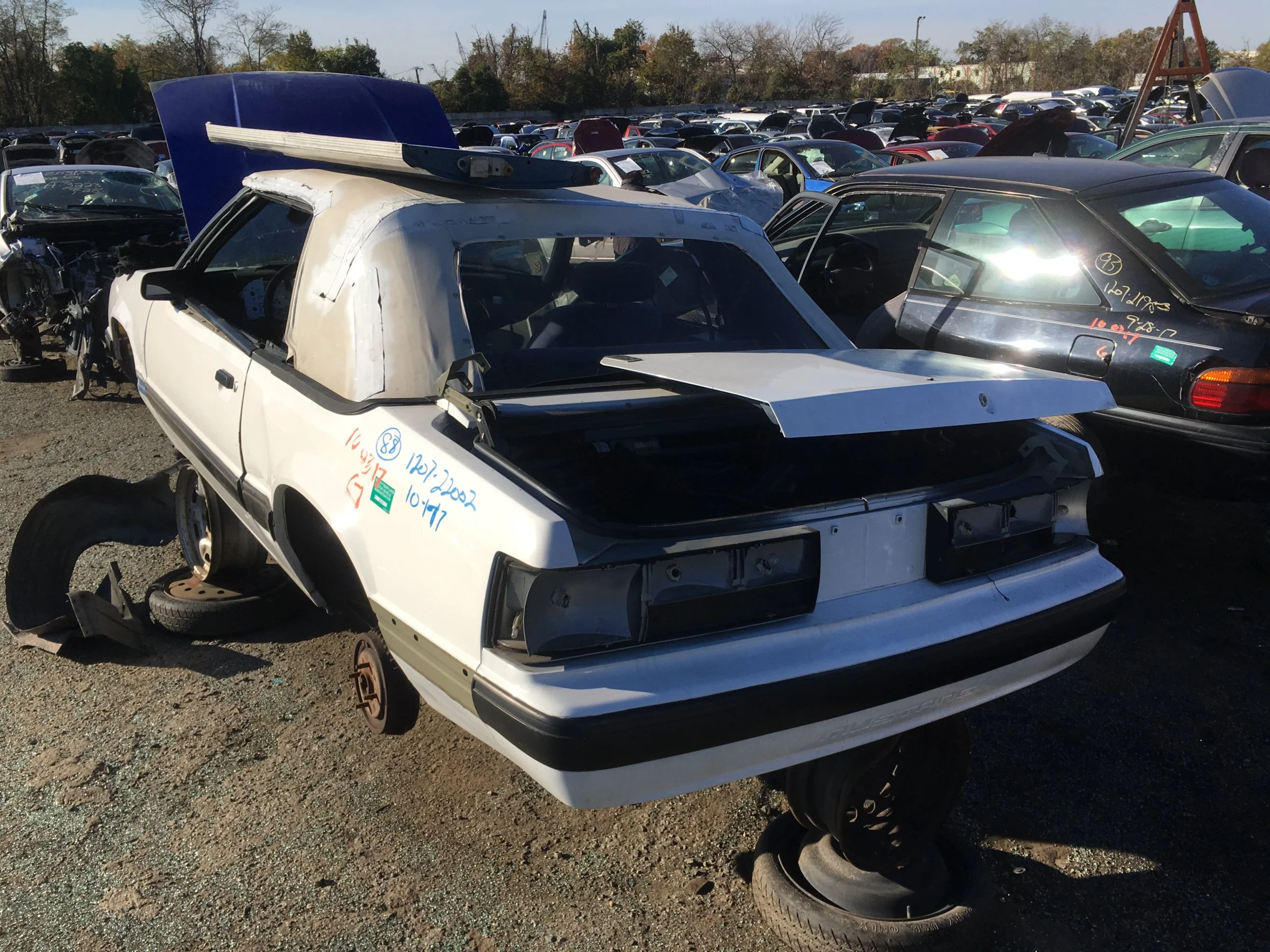 931CDAF8-8EC8-43BF-8D25-E71665AB98C3.webp