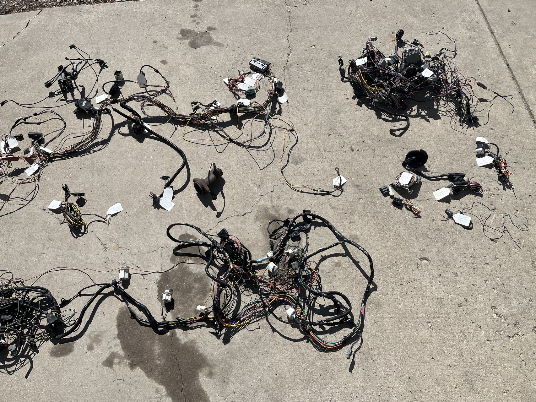 93FullHarness.webp