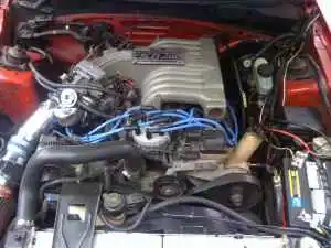 955-3.webp