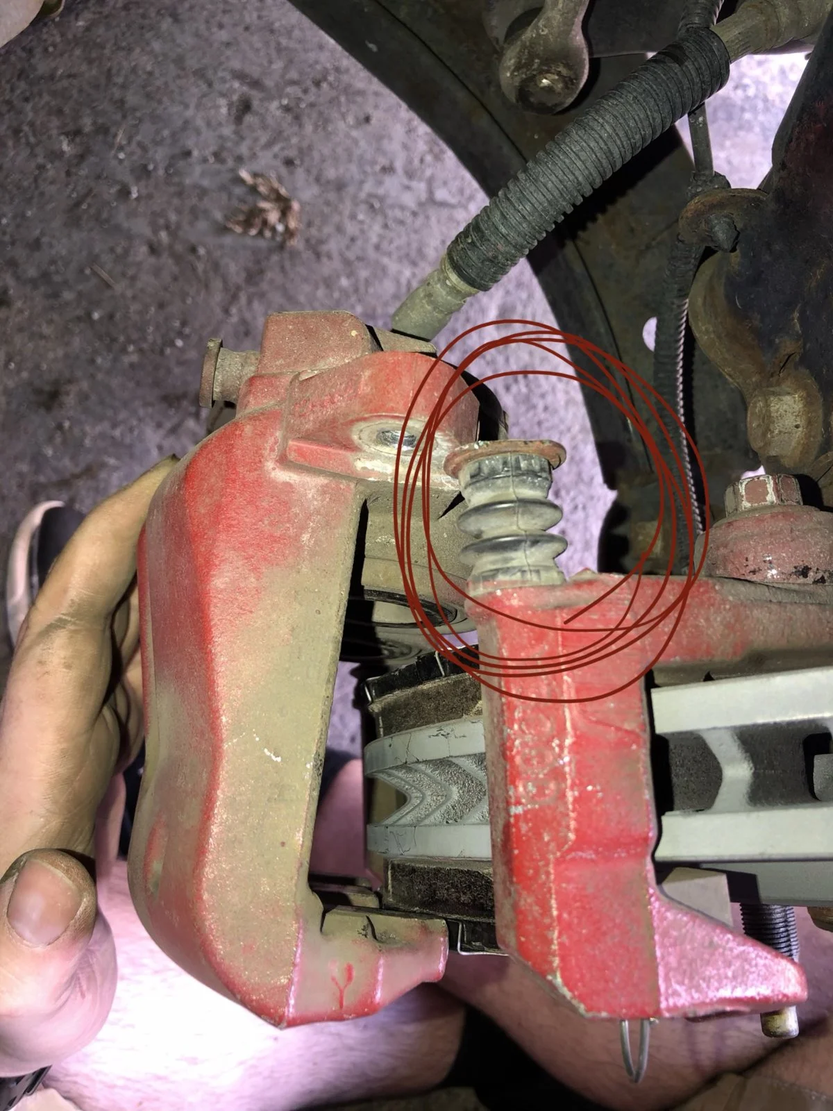 95AE976D-EC63-4D14-AF6D-EAE3CF45DE6E.webp