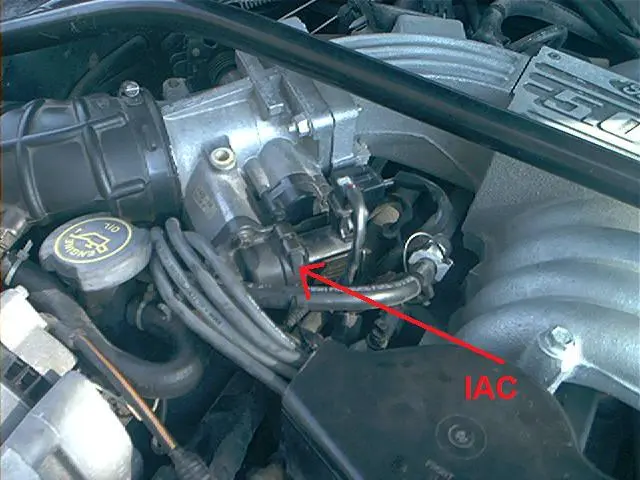 96861d1271975655-1995-mustang-gt-going-nutz-problem-iac-tps-mod.webp