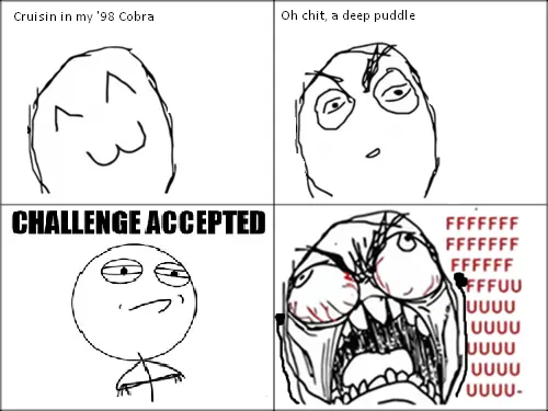 98CobraPuddle.webp