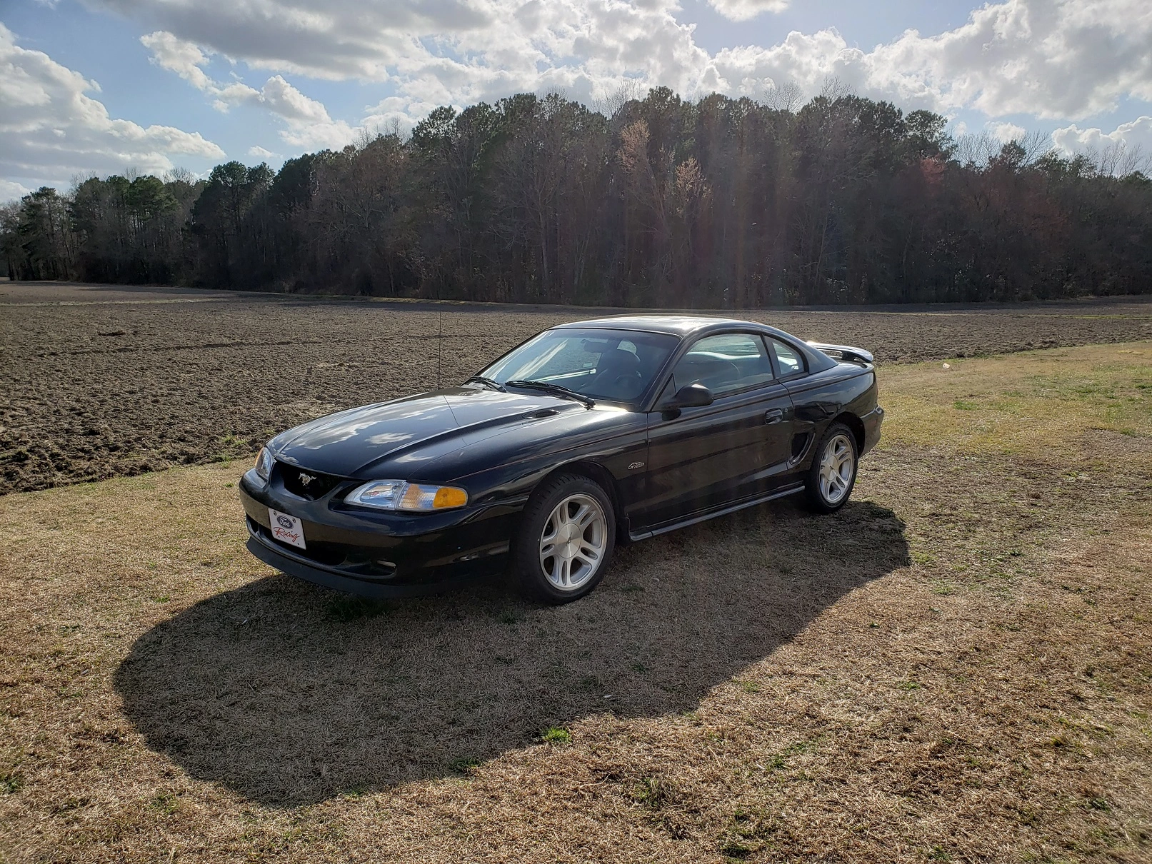98gt10.jpg