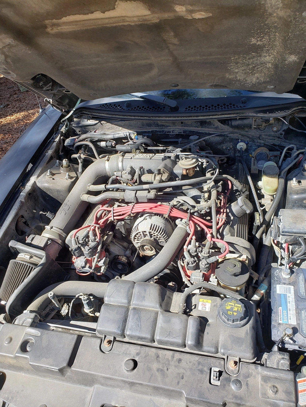 98gt2.jpg