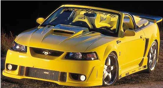 9904blackwidow_lg.webp