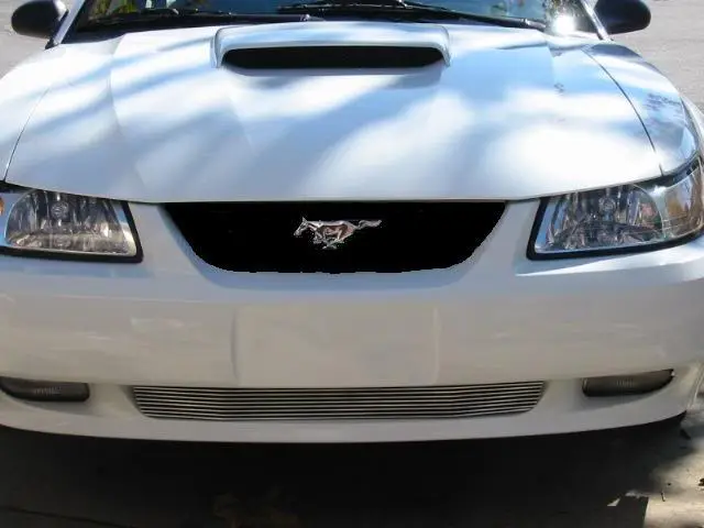 99_03lowerbilletgrille.webp