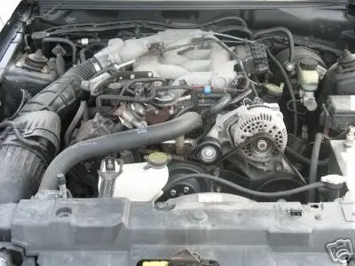 99Mustang9.webp