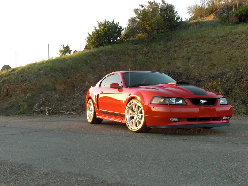 9e37db38.webp