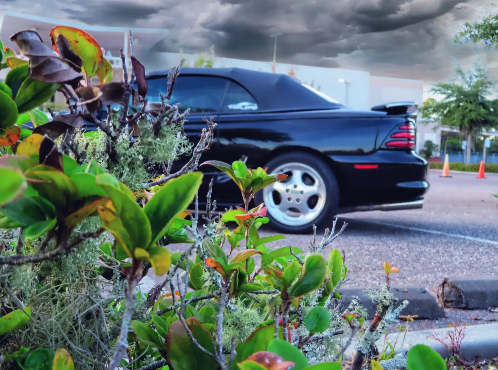 9FF32886-E316-404F-8553-C7389931CA98.webp