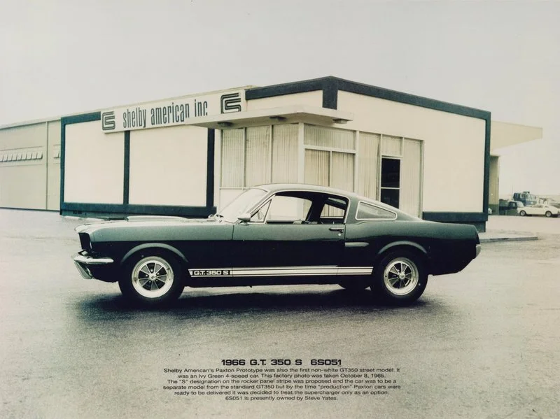 _800px_shelby_1966_scan.webp