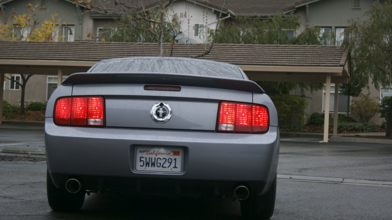 _DSC3383.webp