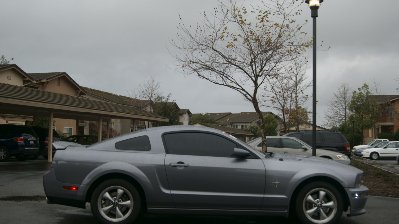 _DSC3384.webp