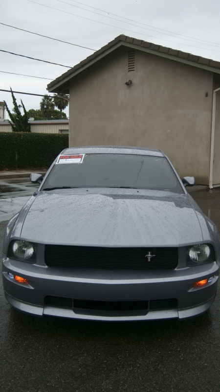 _DSC3387.webp
