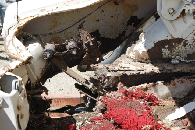 _MG_3241.webp