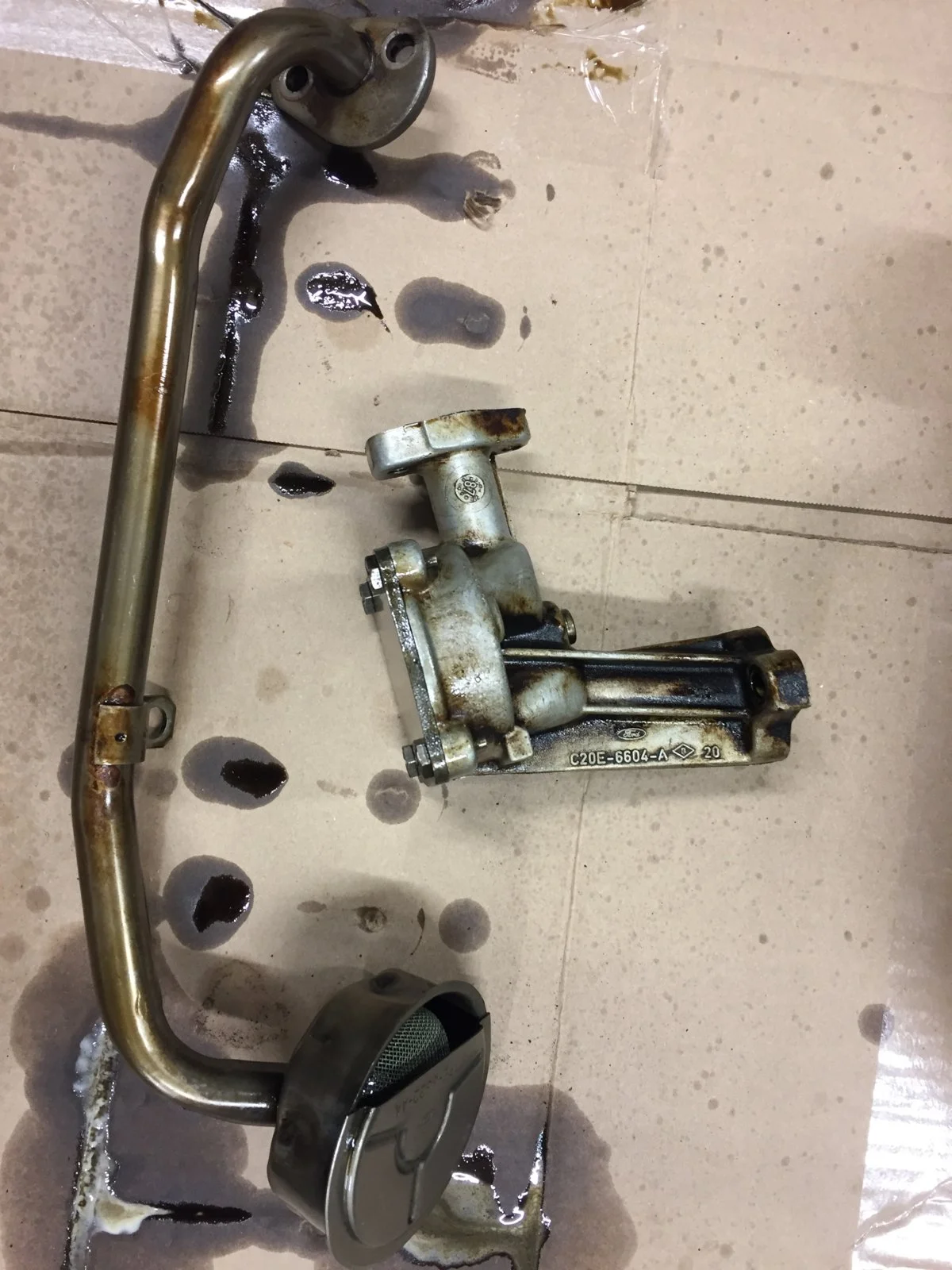 A5B3E1E2-36AD-4CE5-B7B1-D8736FC8576B.webp