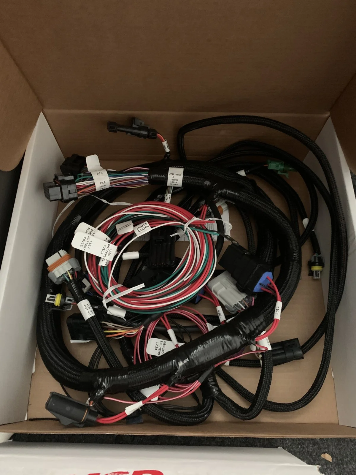 A7A18AEE-44AC-4A30-8FC5-AA3839EBF606.webp