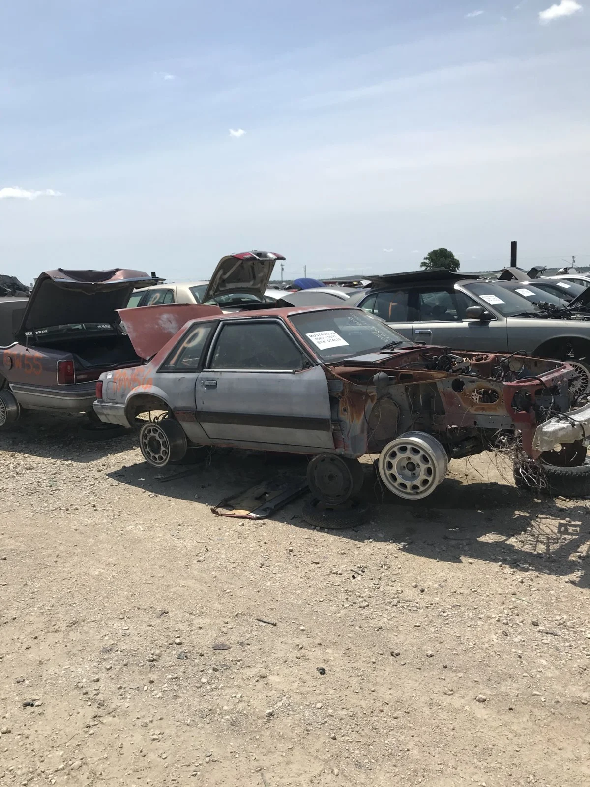 A7FCA037-155A-44B8-9CA1-DA96B0836EEF.webp