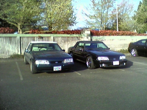 AaronRyan%20mustangs.webp