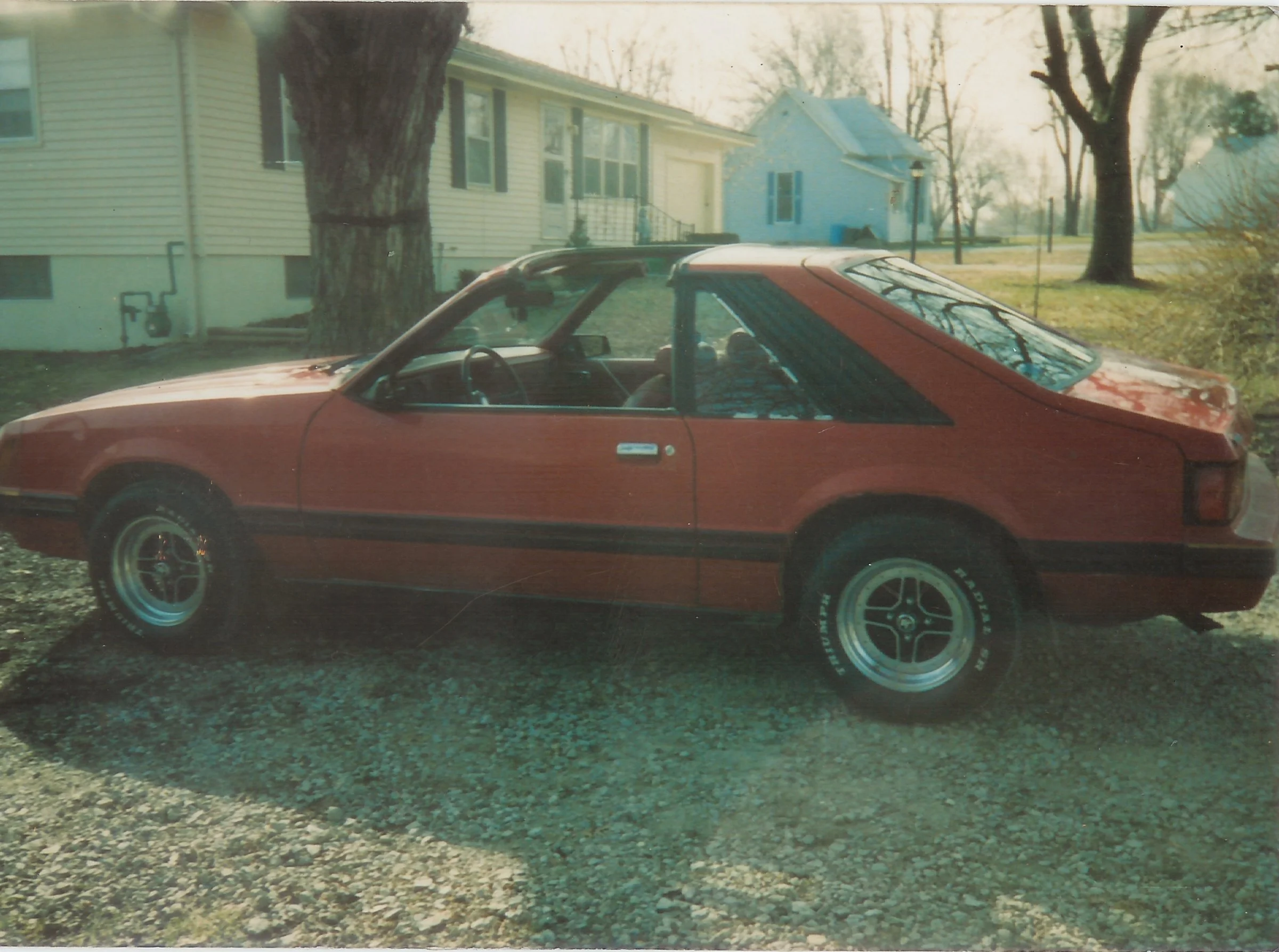 Aarons mustang.webp