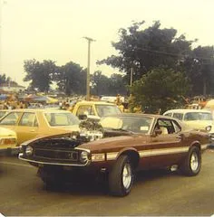ac0d73d226fcf9128559d348--shelby-mustang-shelby-gt.jpg