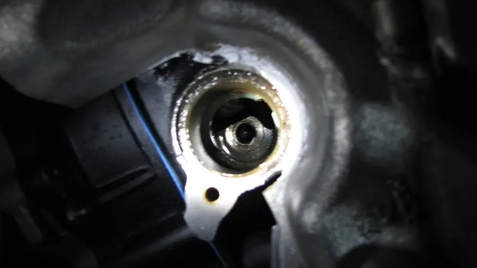 adammotor038.webp