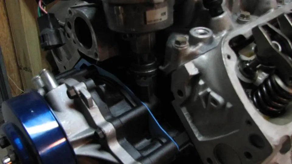 adammotor062.webp