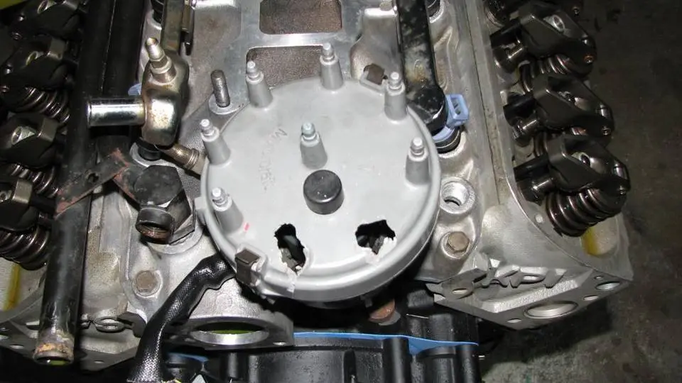 adammotor068.webp