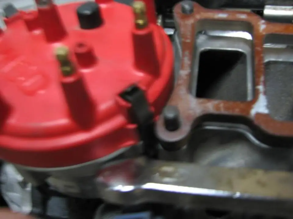 adammotor079.webp