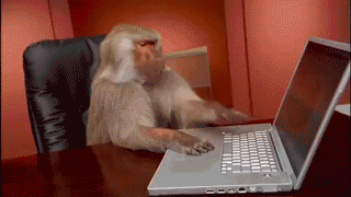 admin.gif