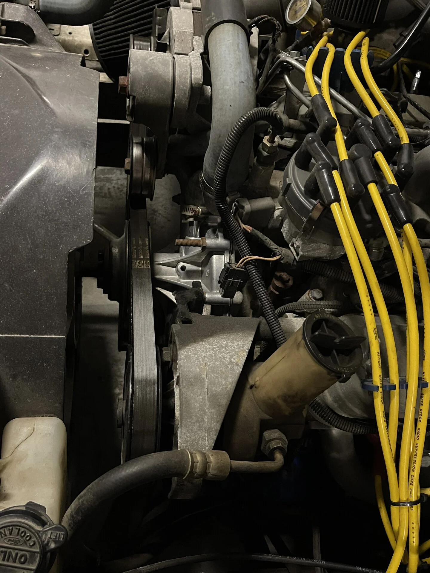 AE71C528-4451-4F31-AEA8-0198F33F8C46.webp