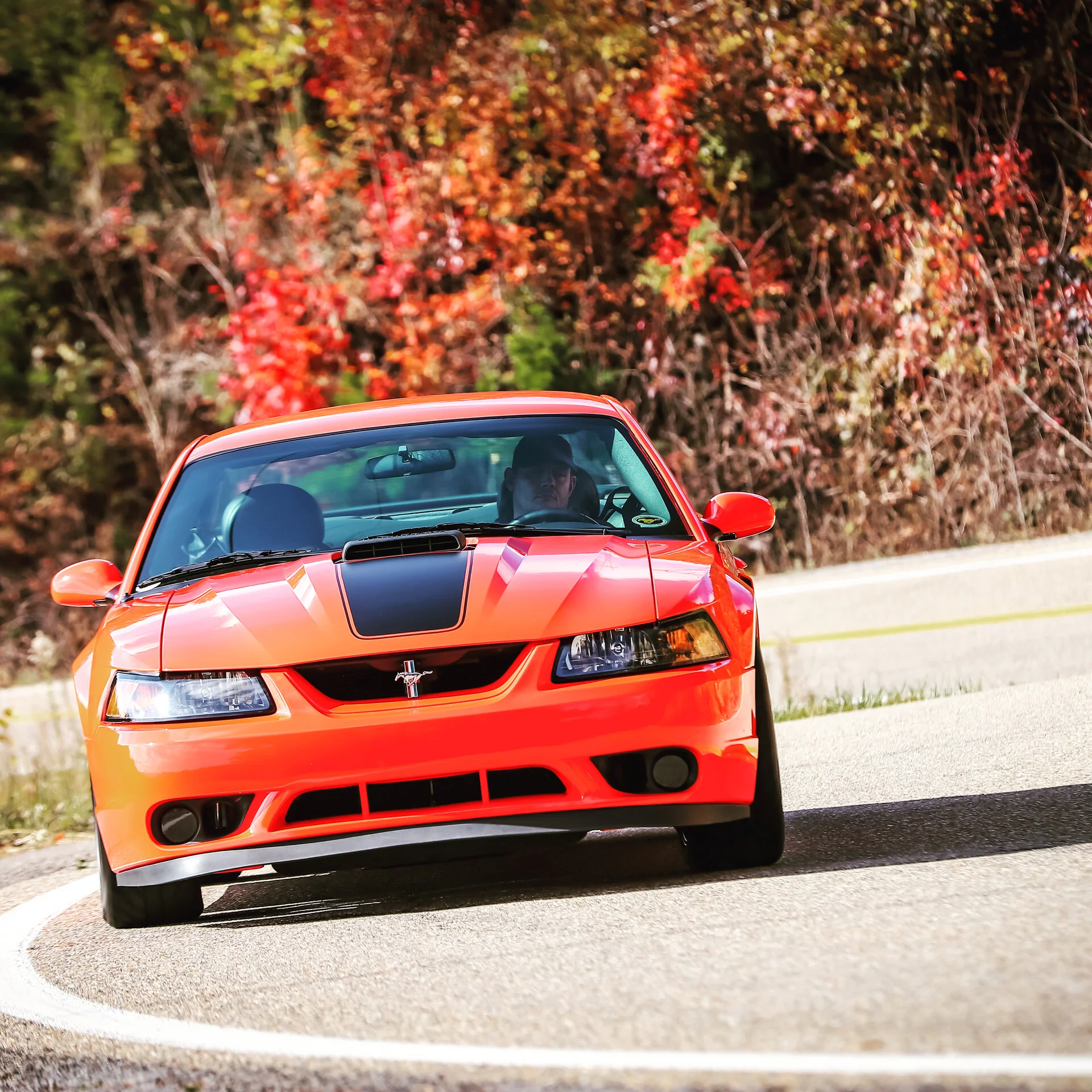 AE87E7B5-D7ED-4B6F-A02B-4B2D12FF046C.jpeg