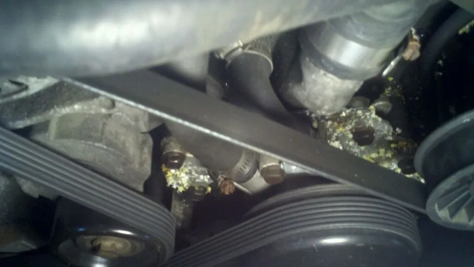aefcd241-5c22-1873.webp