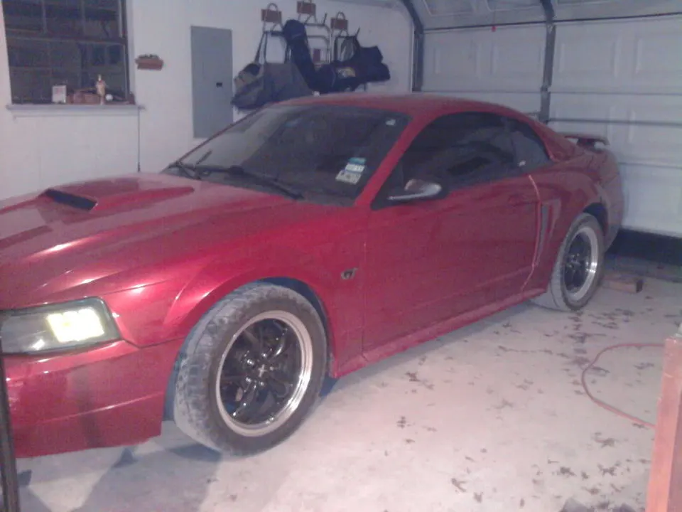 afterfrontsprings1.webp