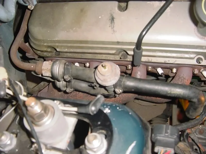 AIRpumphosesandhardtubestobackofhea.webp