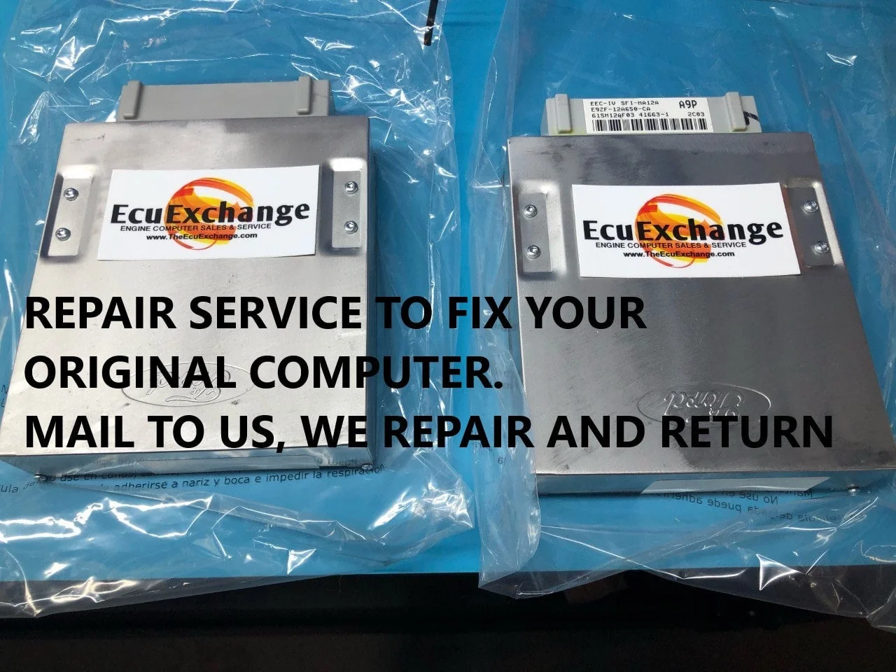 www.theecuexchange.com