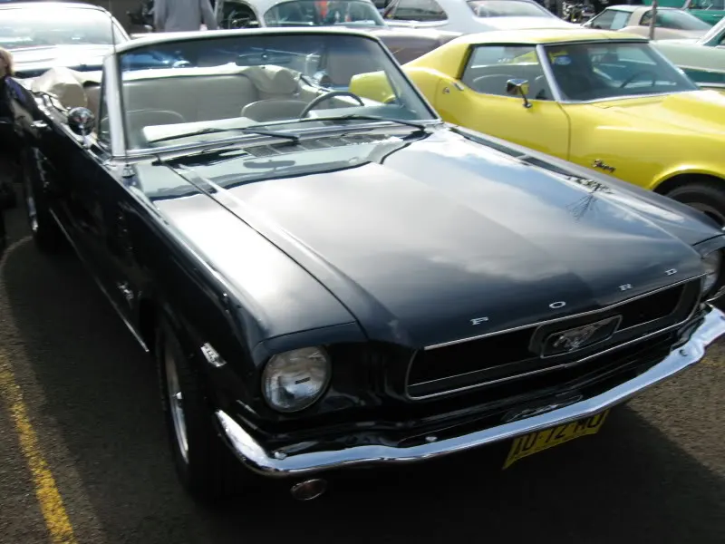 AMCCOATBH2770857.webp