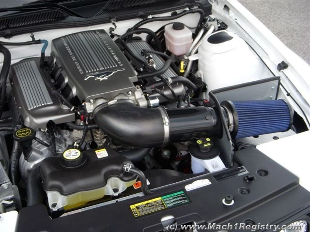 andy_110.webp
