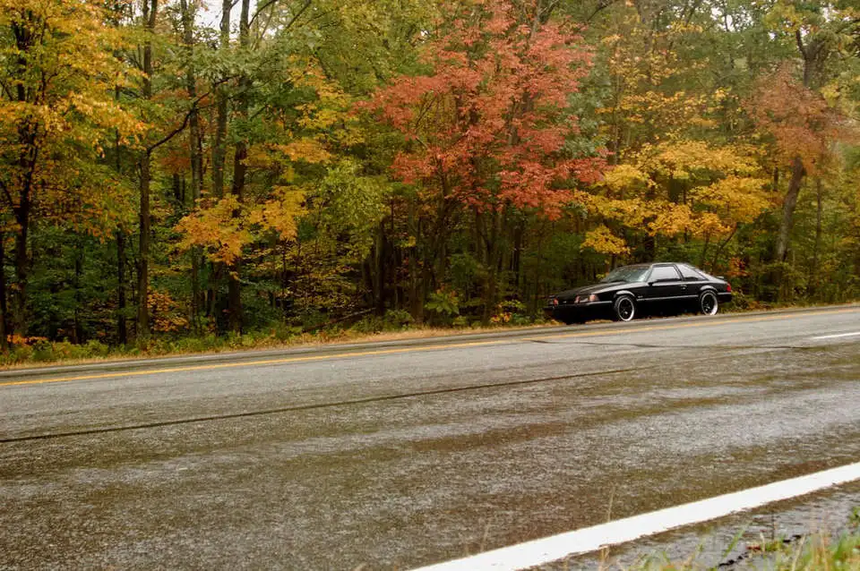 AndyCar2.webp