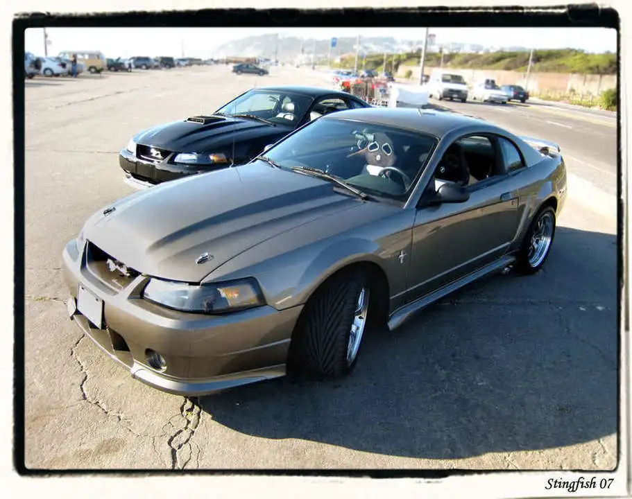 angleresized.webp