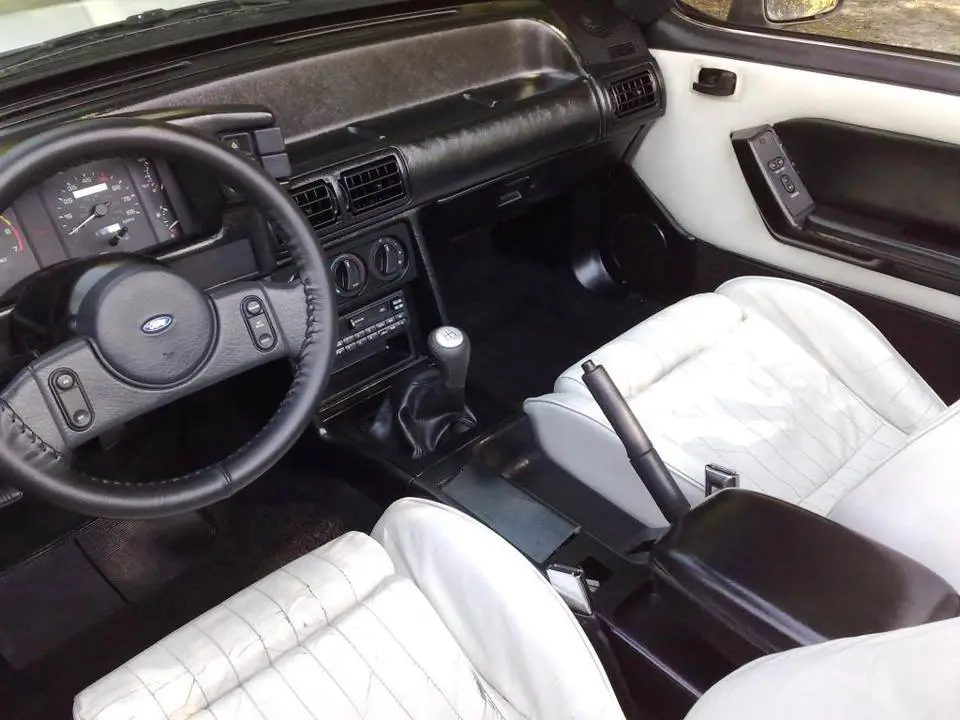 Apr2009BlackInteriorConversion7.webp