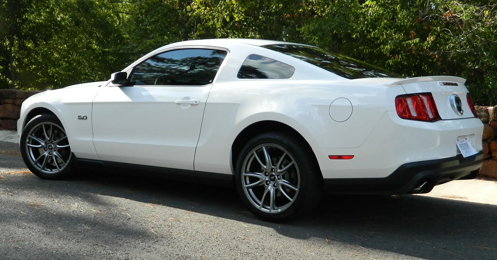 around the house-mustang 406.webp