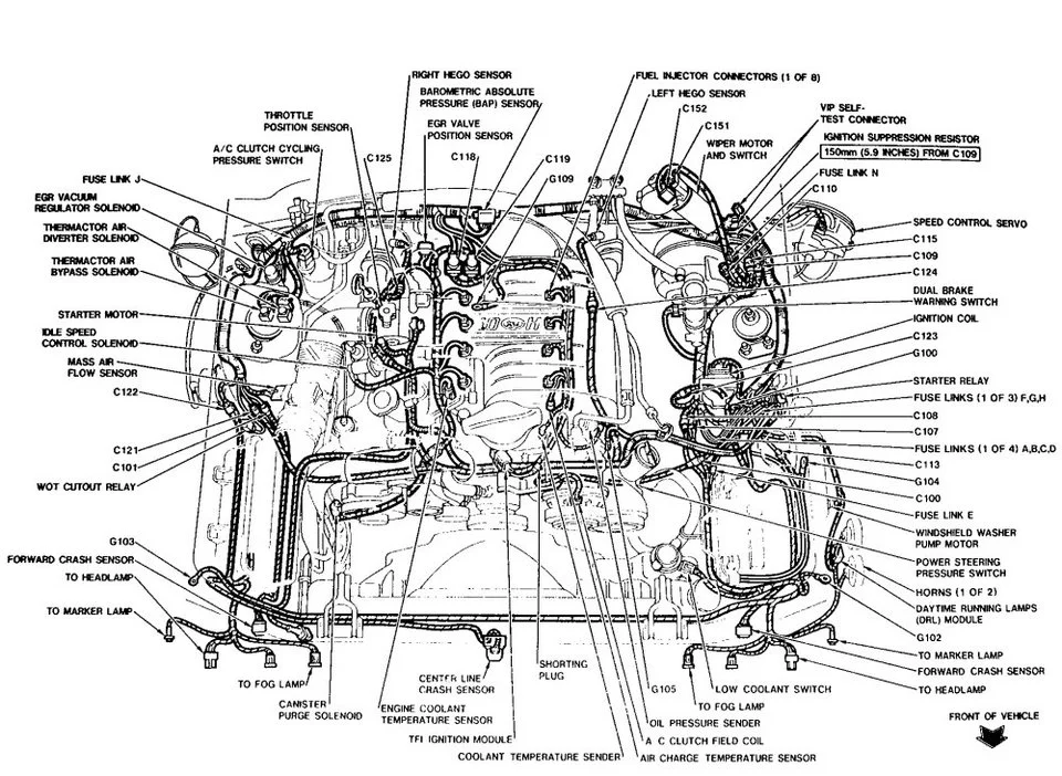 attachment.webp