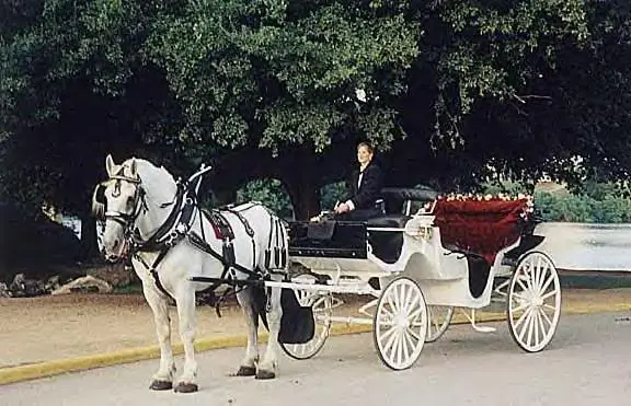 austin-carriage-svc-austin-tx.webp