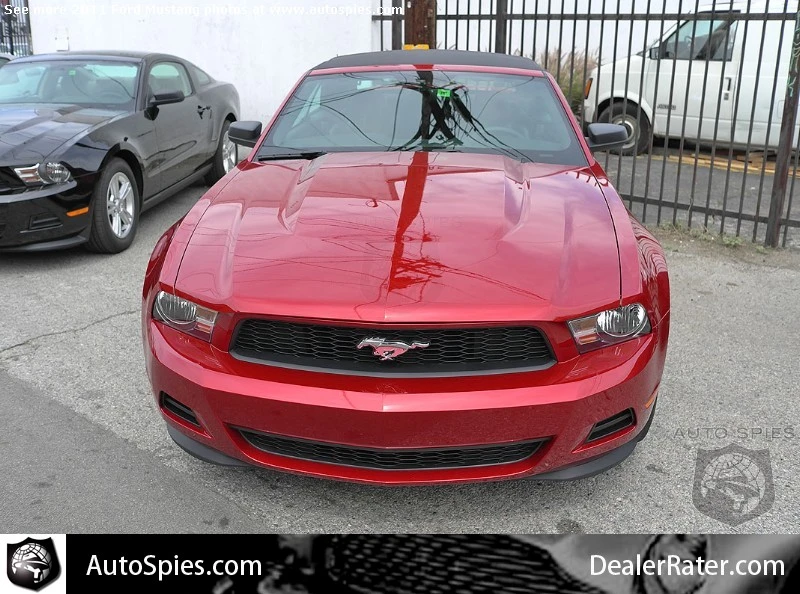 auto-show-photos.webp