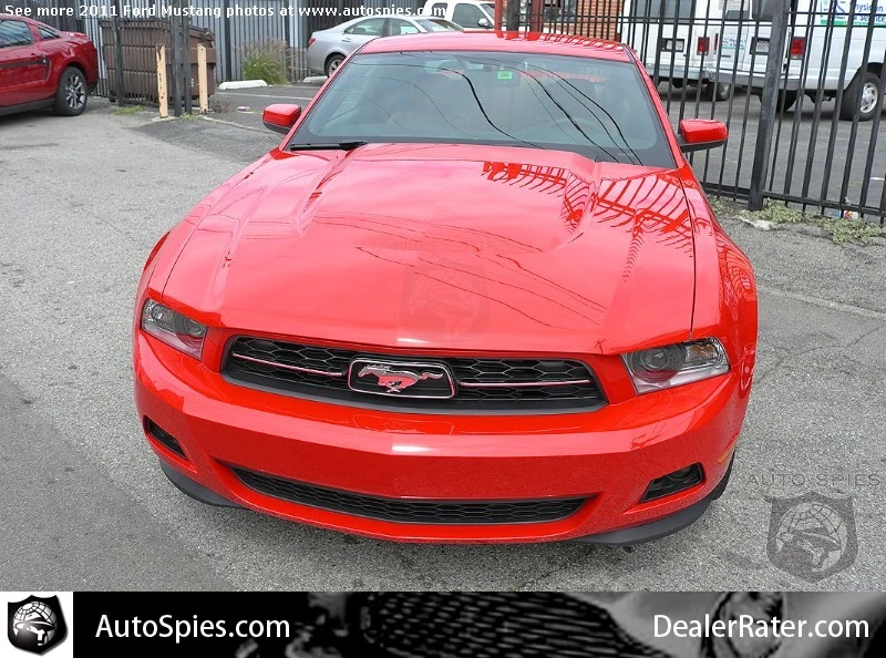 auto-show-photos.webp