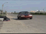 avatar5_1.gif