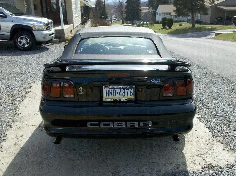 back.webp